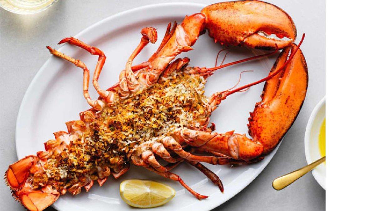 Ilustrasi lobster
