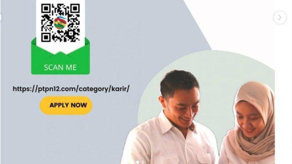 Ilustrasi lowongan kerja di PTPN Group - Dibuka Lowongan Kerja BUMN Terbaru Juli 2024 di PT Perkebunan Nusantara IV, Berikut Pendaftarannya