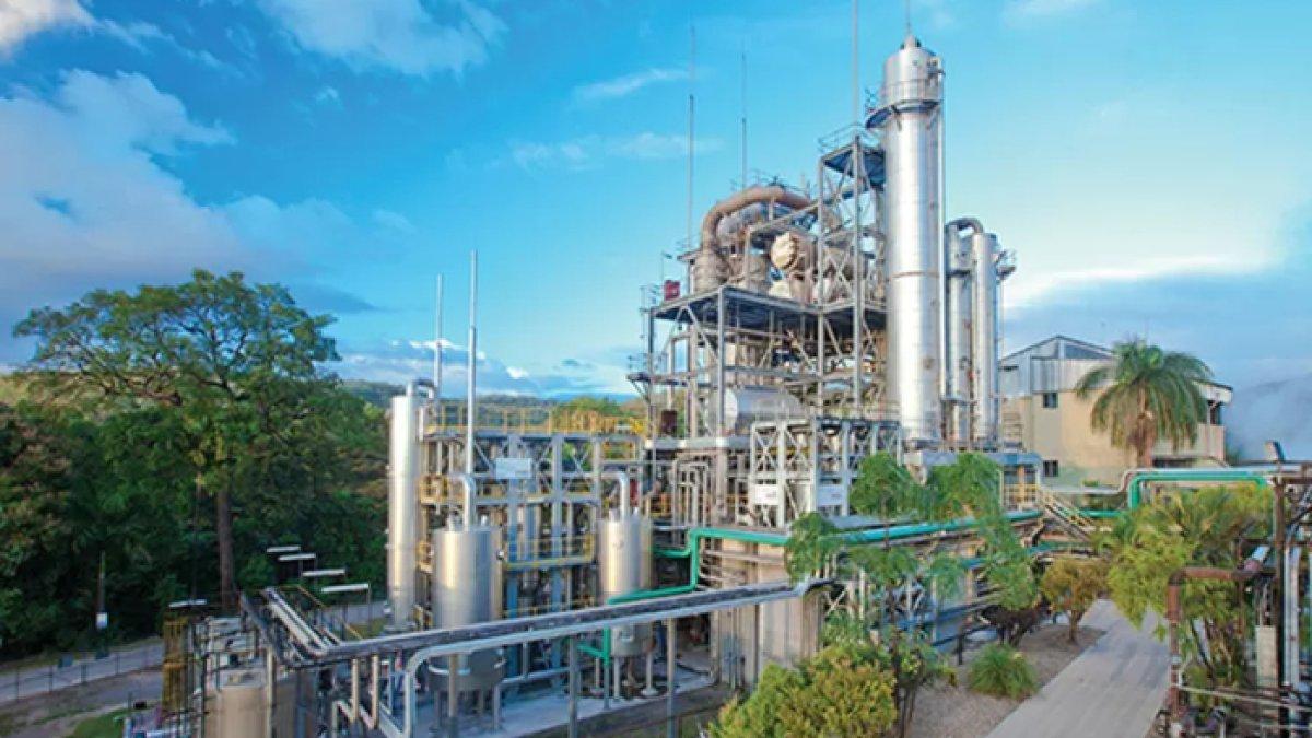 Ilustrasi lowongan kerja di perusahaan swasta, Wilmar International Limited dan PT Freeport Indonesia di Desember 2023.