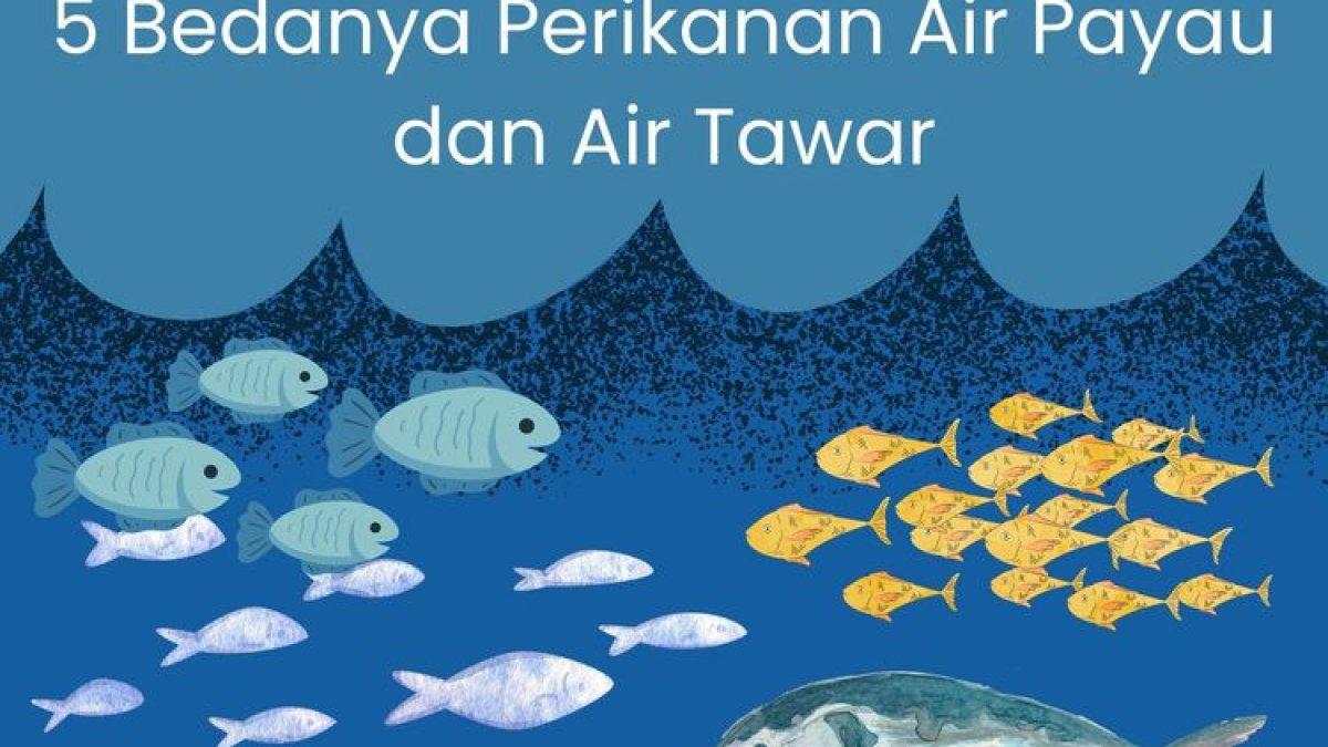 Ilustrasi mengenai ikan hasil periklanan air payau dan air tawar