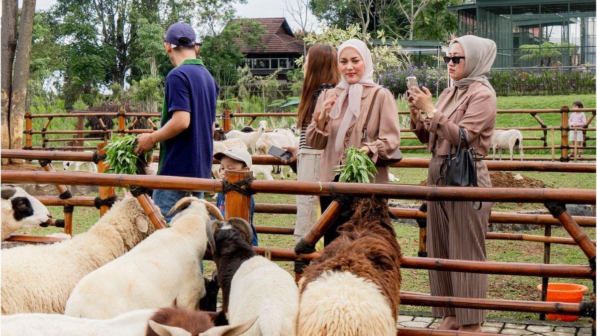WISATA DI SUKABUMI - Ilustrasi mini zoo di Goalpara Tea Park, Sukabumi, Jawa Barat.