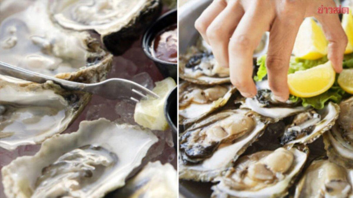 Ilustrasi tiram mentah