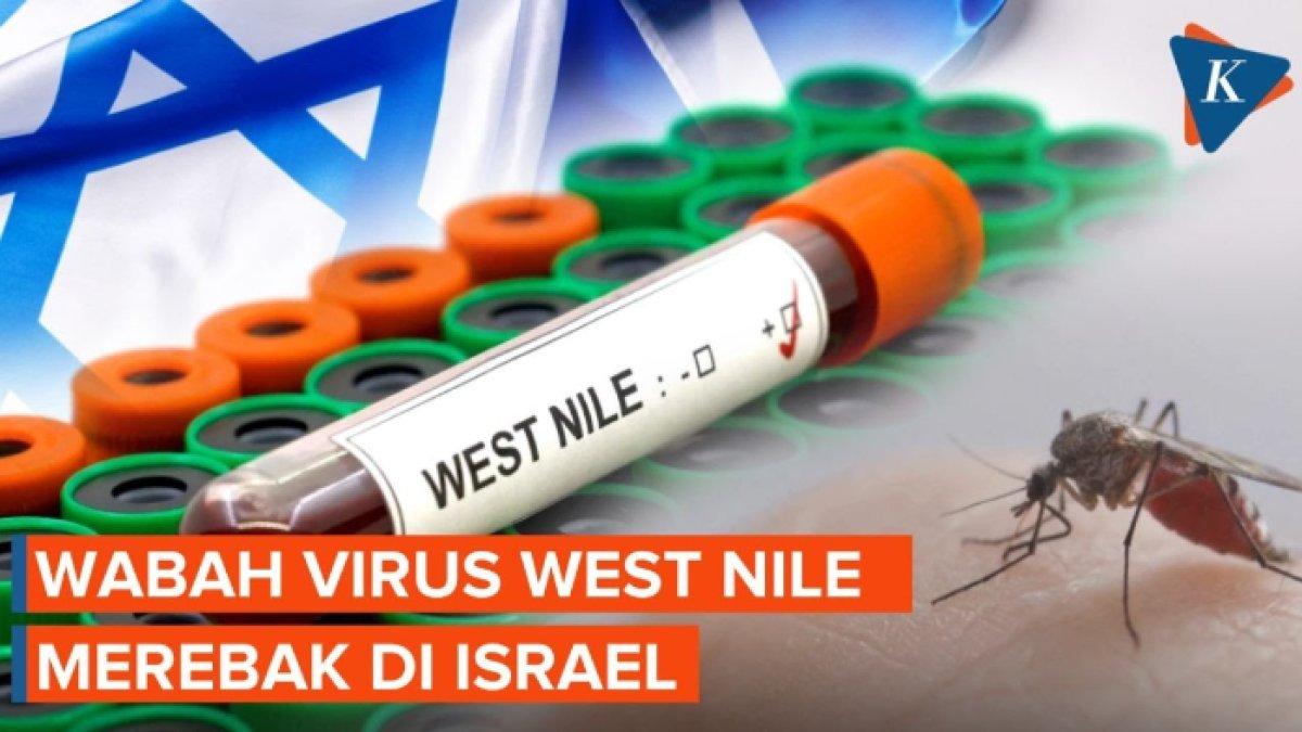 Israel waspada merebaknya virus West Nile dan telah menewaskan tujuh orang.