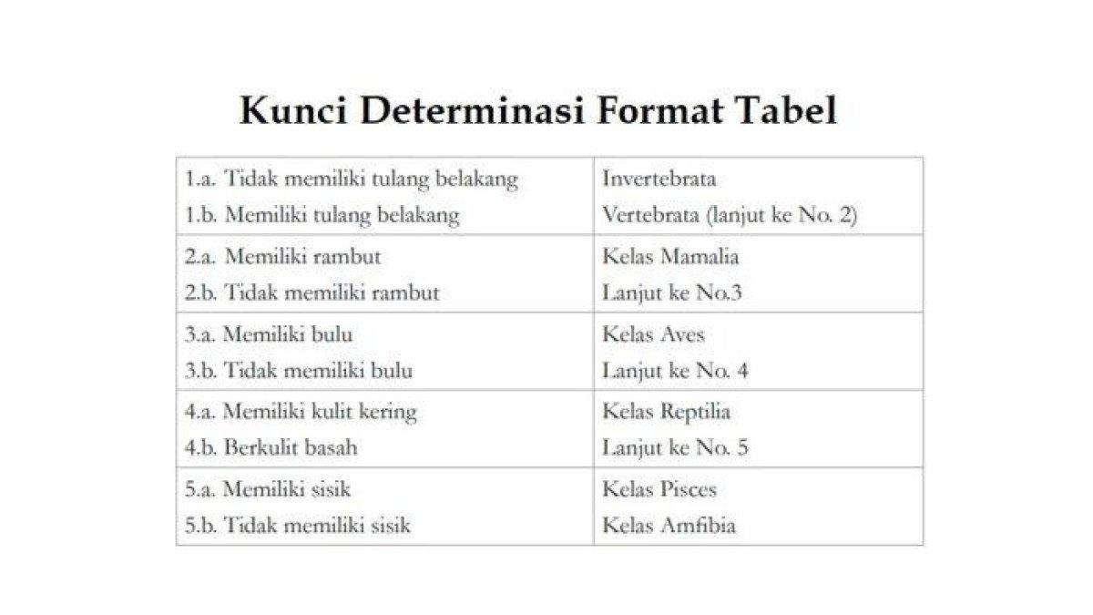 ILUSTRASI KUNCI JAWABAN:  Jawaban kunci determinasi format tabel