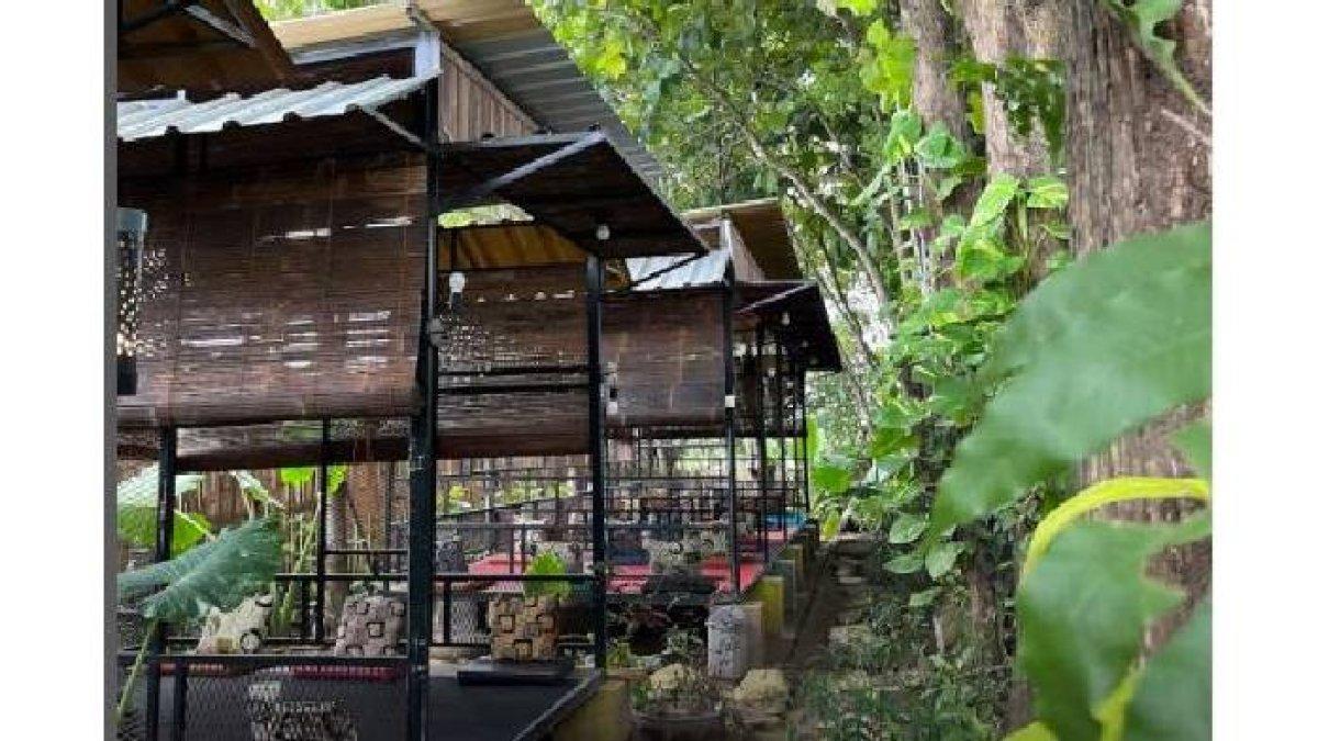RESTO DI KLATEN: Jamed Resto di Delanggu, Klaten