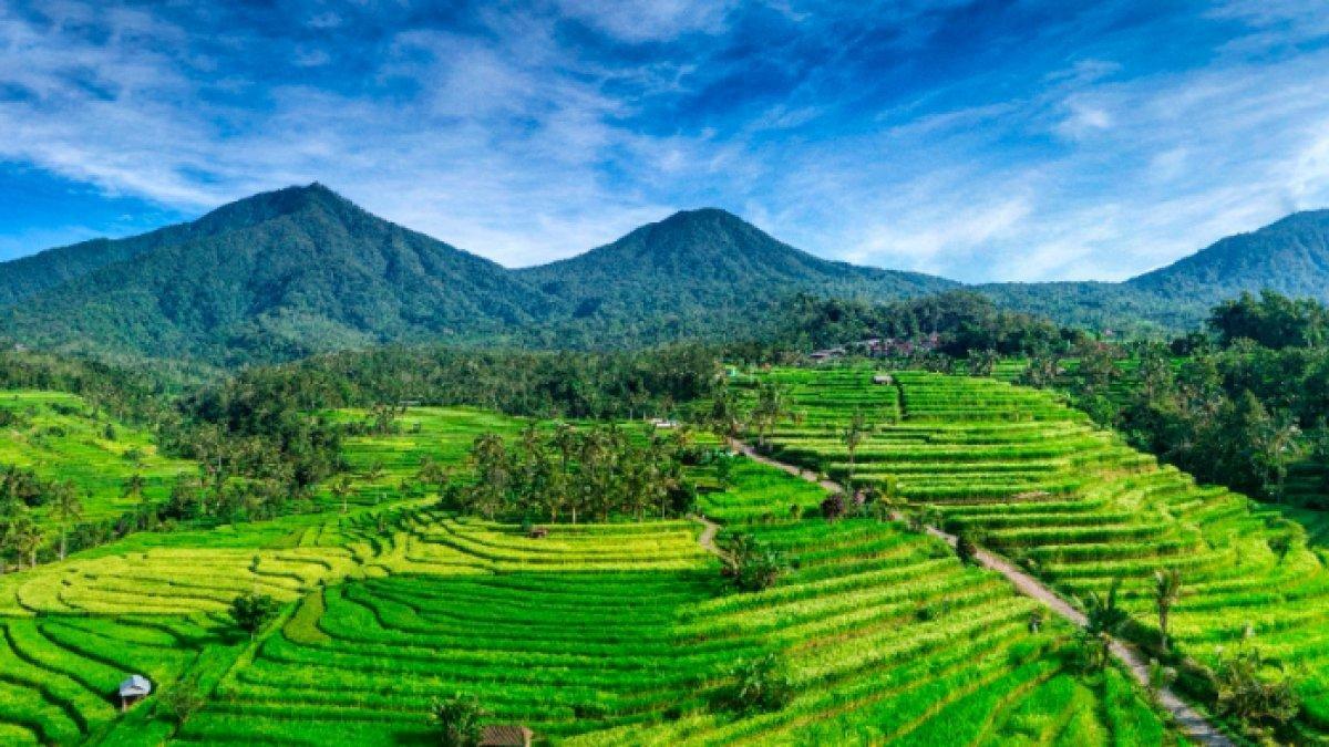 Desa Jatiluwih di Bali