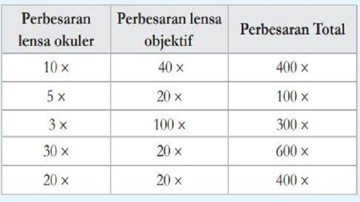 Jawaban IPA Kelas 8 Halaman 25 Halaman 3