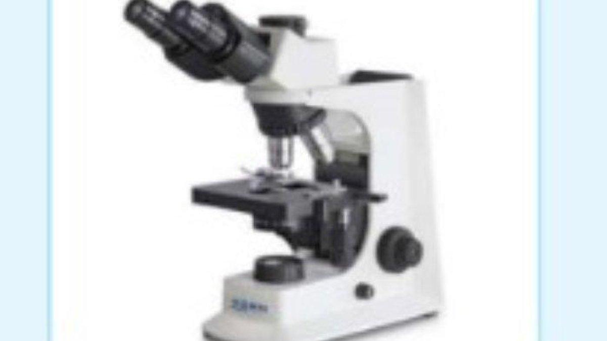 Kunci Jawaban IPA Kelas 8 Halaman 25, Fungsi dan Bagian Mikroskop