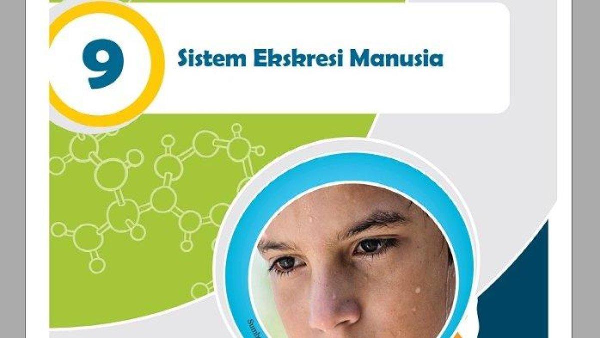 Kunci Jawaban IPA Kelas 8 Semester 2 Halaman 80, Ayo Kita Diskusikan: Sistem Ekskresi Manusia