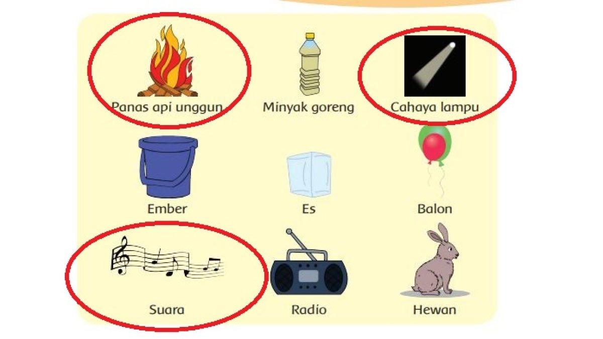 Jawaban Tema 3 Kelas 3 SD Halaman 3