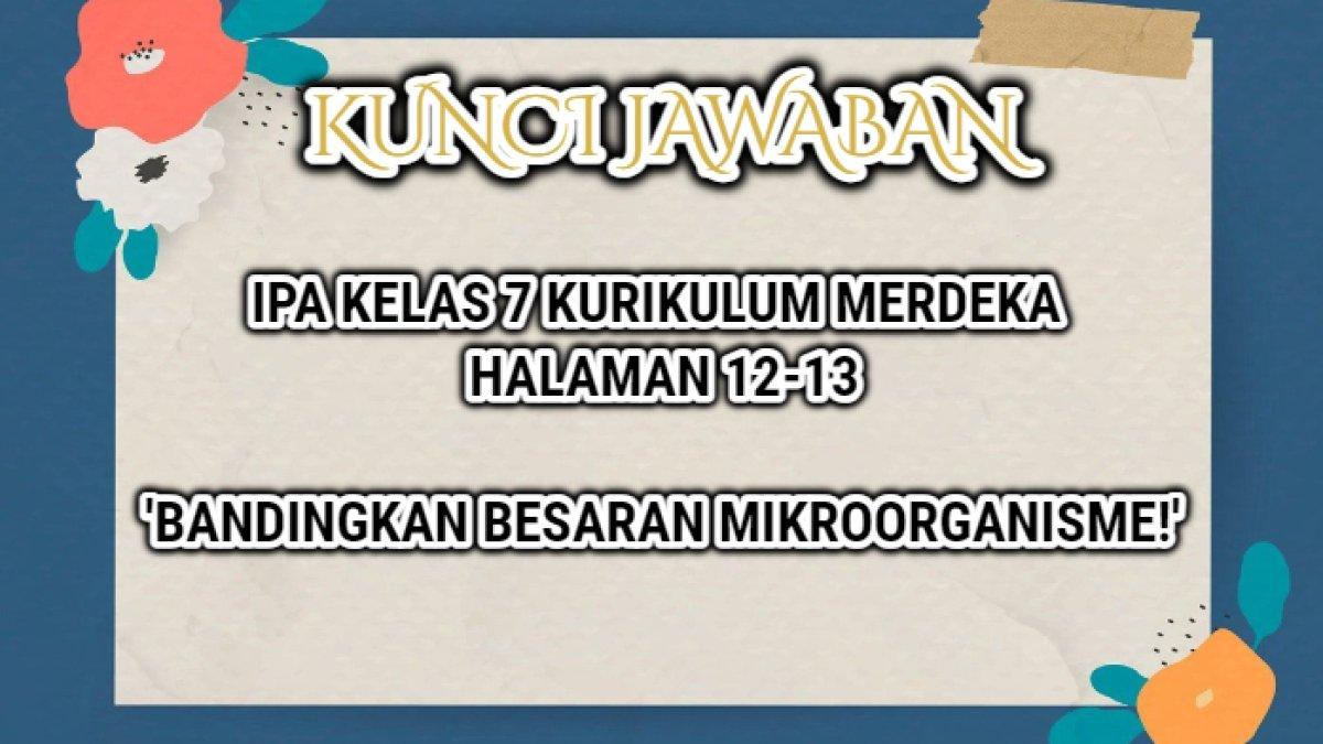 Jawaban dari soal IPA kelas 7 halaman 12-13 Kurikulum Merdeka yang di dalamnya terdapat soal 'Bandingkan besaran mikroorganisme!'