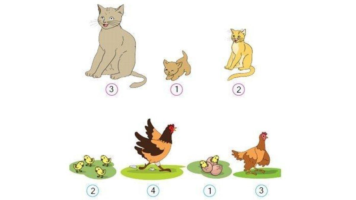 Jawaban halaman 8 buku tematik Tema 6 kelas 4