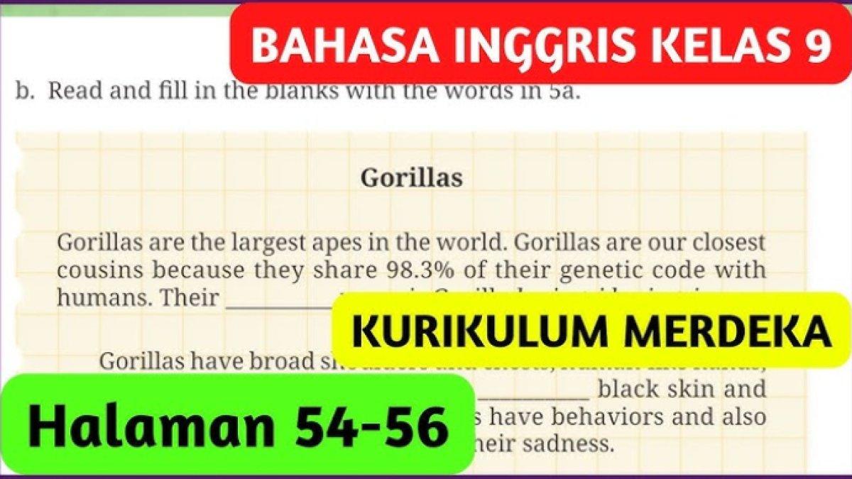 Jawaban terbaik dari soal Bahasa Inggris Kelas 9 halaman 54-56 Kurikulum Merdeka