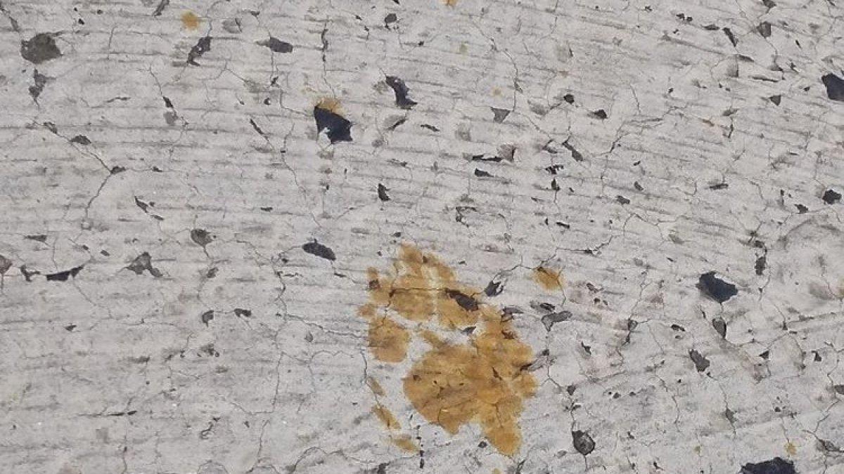 Foto yang diambil dan dirilis oleh Nomura Plating pada tanggal 12 Maret 2024 ini menunjukkan jejak kaki yang diyakini berasal dari seekor kucing yang terjatuh ke dalam tangki yang berisi kromium heksavalen beracun di pabrik pelapisan logam di Fukuyama, Prefektur Hiroshima.