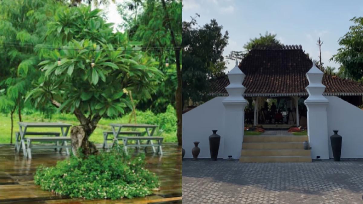 KULINER MENARIK - Potret Joglo Putih Cafe & Resto diambil dari Instagram pada Minggu (27/7/2025). Lokasinya berada di Jl Nakula, Candi Dukuh, Sardonoharjo, Ngaglik, Sleman, Yogyakarta. 
