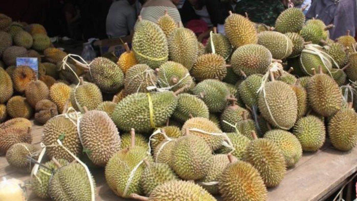 KULINER DURIAN KLATEN - Ilustrasi buah durian.