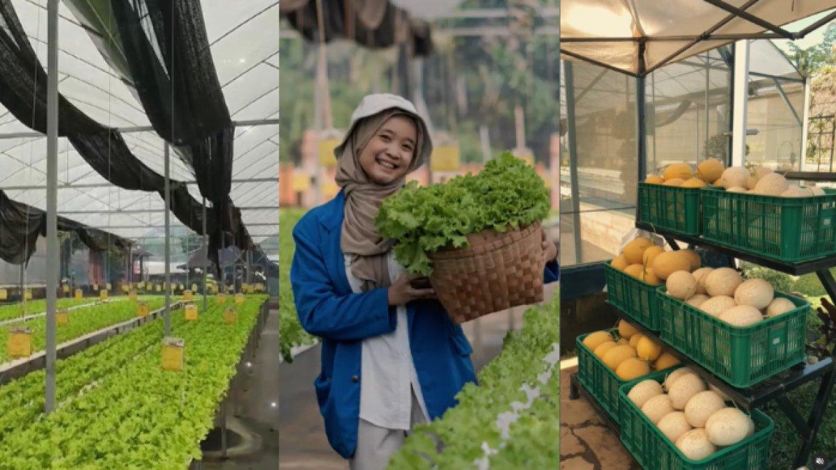 WISATA SERU - Potret Kebun Bagus Salatiga diambil dari Instagram pada Jumat (11/4/2025). Kebun Bagus Salatiga berada di Kabupaten Semarang, Jawa Tengah.