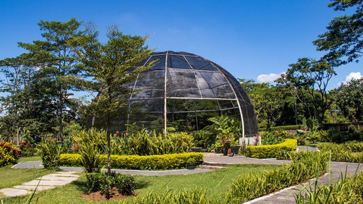 WISATA ALAM - Potret taman paku di Kebun Raya Indrokilo, disadur dari Kompas.com pada Selasa (17/3/2025). Kebun Raya Indrokilo terletak di Boyolali, Jawa Tengah.