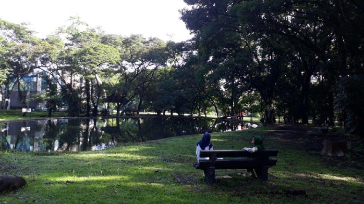 WISATA KEBUN - Potret Kebun Raya Purwodadi disadur dari Kompas.com pada Kamis (8/5/2025). Kebun Raya Purwodadi berada di Pasuruan, Jawa Timur.