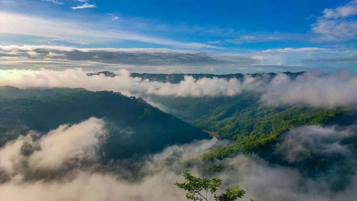 PESONA WISATA BANTUL - Keindahan pemandangan di Kebun Buah Mangunan Yogyakarta, bagai negeri di atas awan.