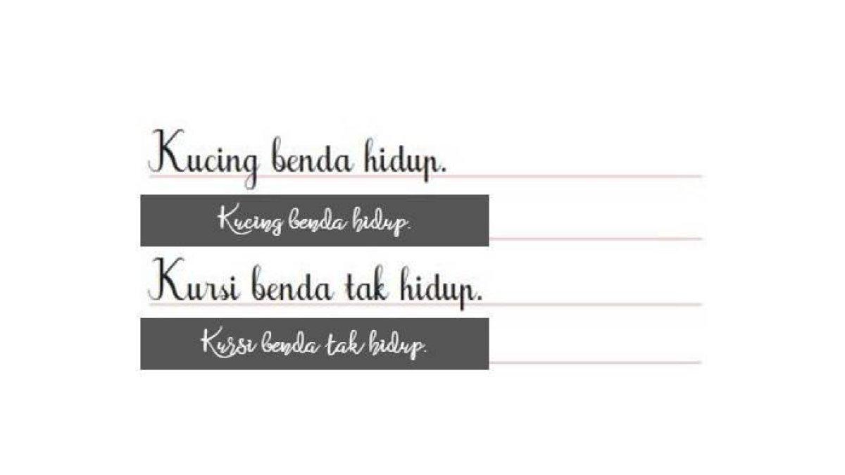 Jawaban Buku Tematik Kelas 1 SD Tema 7 Subtema 1 Pembelajaran 2 Halaman 13
