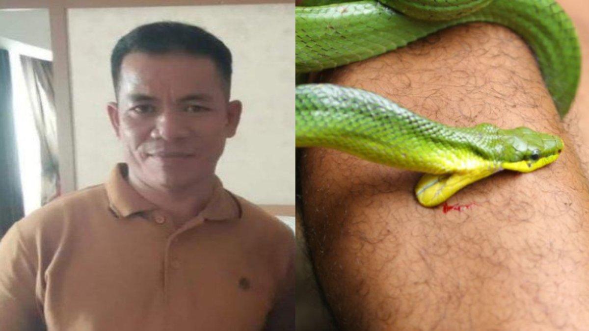 Kepala Desa Parrara Luwu Utara Nirwan ditemukan tewas di kebun diduga digigit ular berbisa.