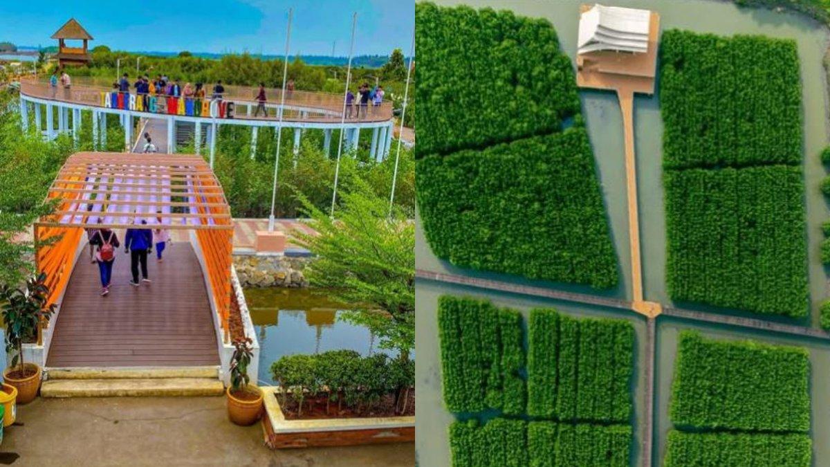 WISATA DI TANGERANG - Ketapang Urban Aquaculture, wisata hutan bakau di Tangerang.