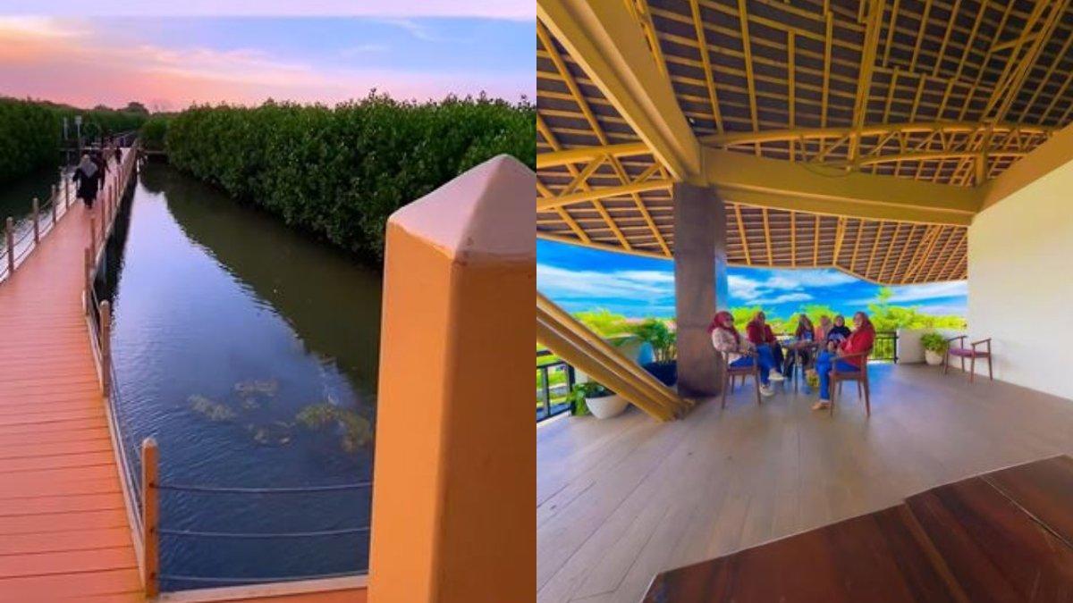 WISATA DI TANGERANG - Ketapang Urban Aquaculture, wisata hutan bakau di Tangerang.