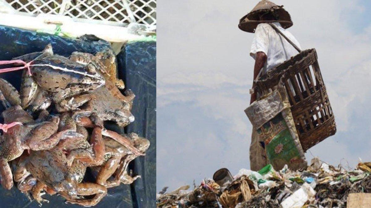 Kisah pemulung gembel yang dulu hidup susah, kini sukses setelah jualan kodok.