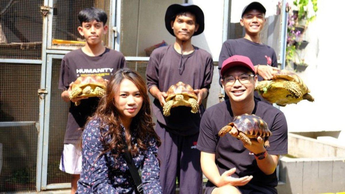 Kisah seorang PNS banting stir pilih jadi pembisnis kura-kura
