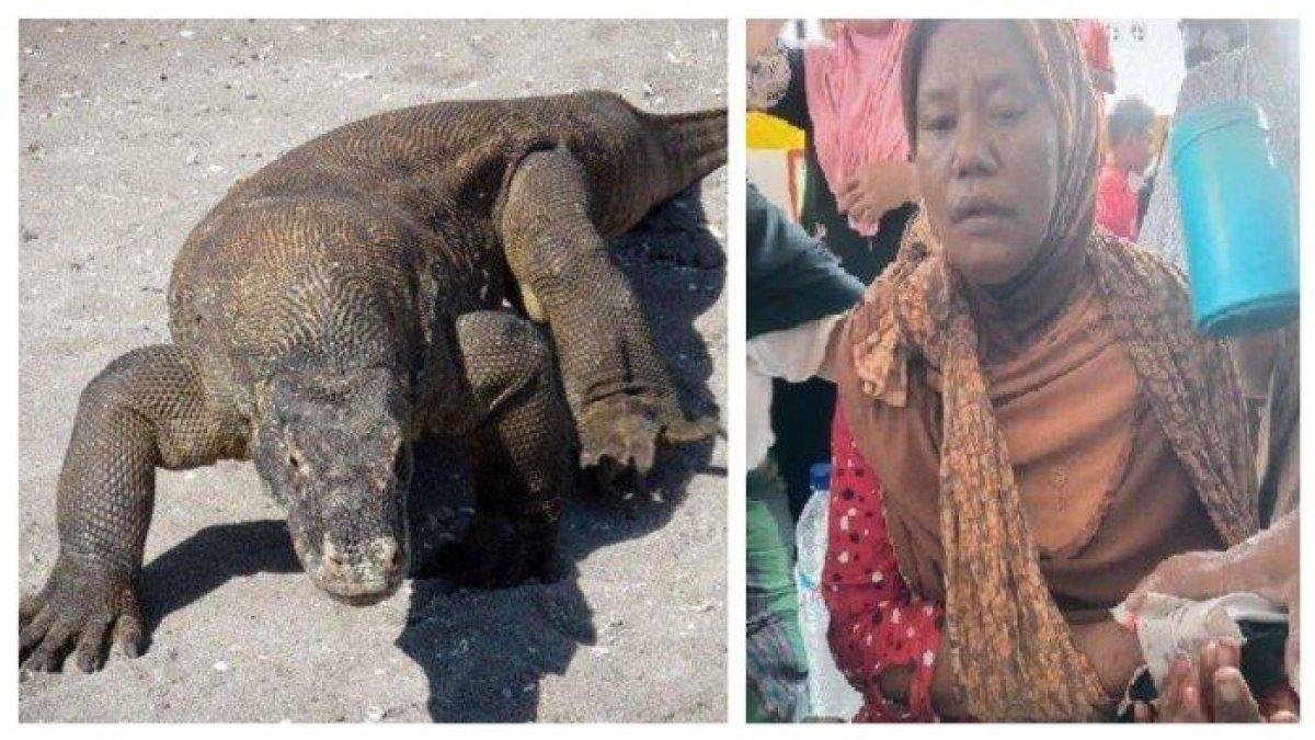 Komodo ini lagi ngejar kambing, Ibu-ibu lagi jemur ikan di Pulau Rinca malah jadi sasaran: darah bercucuran
