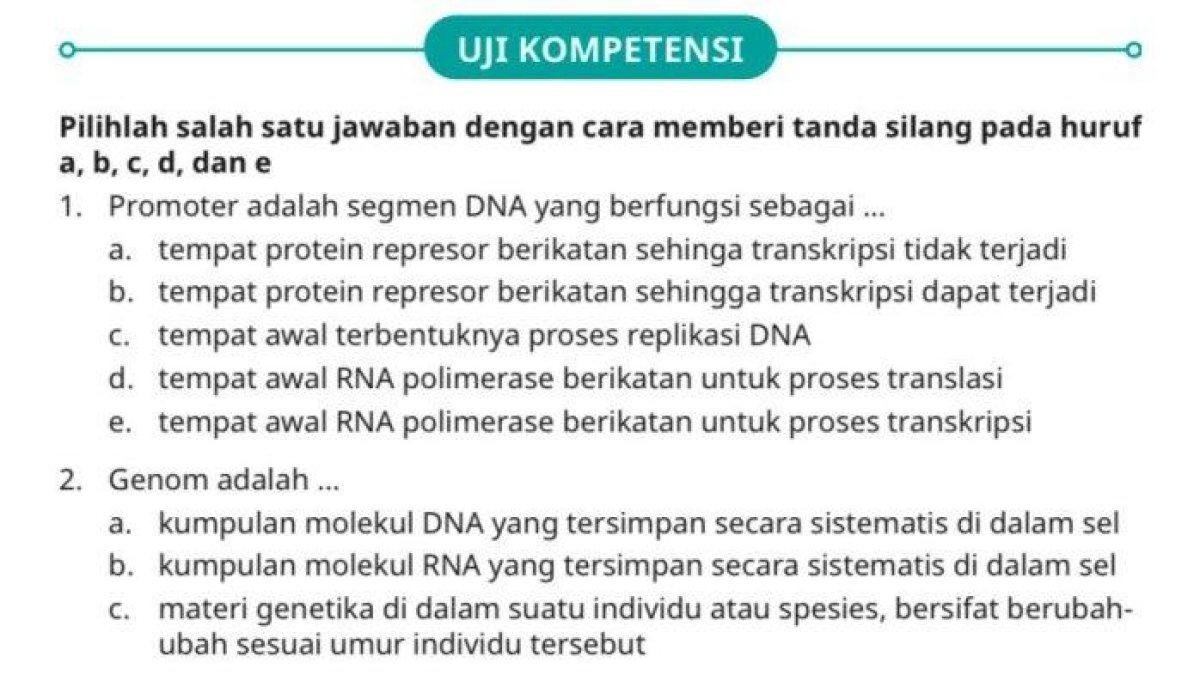 Soal Uji Kompetensi Biologi SMA/MA kelas XII Kurikulum Merdeka, lengkap kunci jawaban halaman 113.