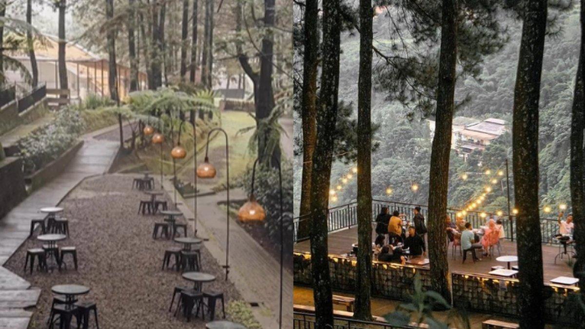WISATA BOGOR - Potret Kopi Daong diambil dari Instagram pada Jumat (25/4/2025). Kopi Daong berada di Kabupaten Bogor, Jawa Barat.
