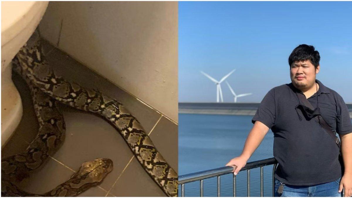 Kronologi seekor ular muncul dari closet toilet dan menggigit alat kemaluan pria di Thailand yang sedang Buang Air Besar.