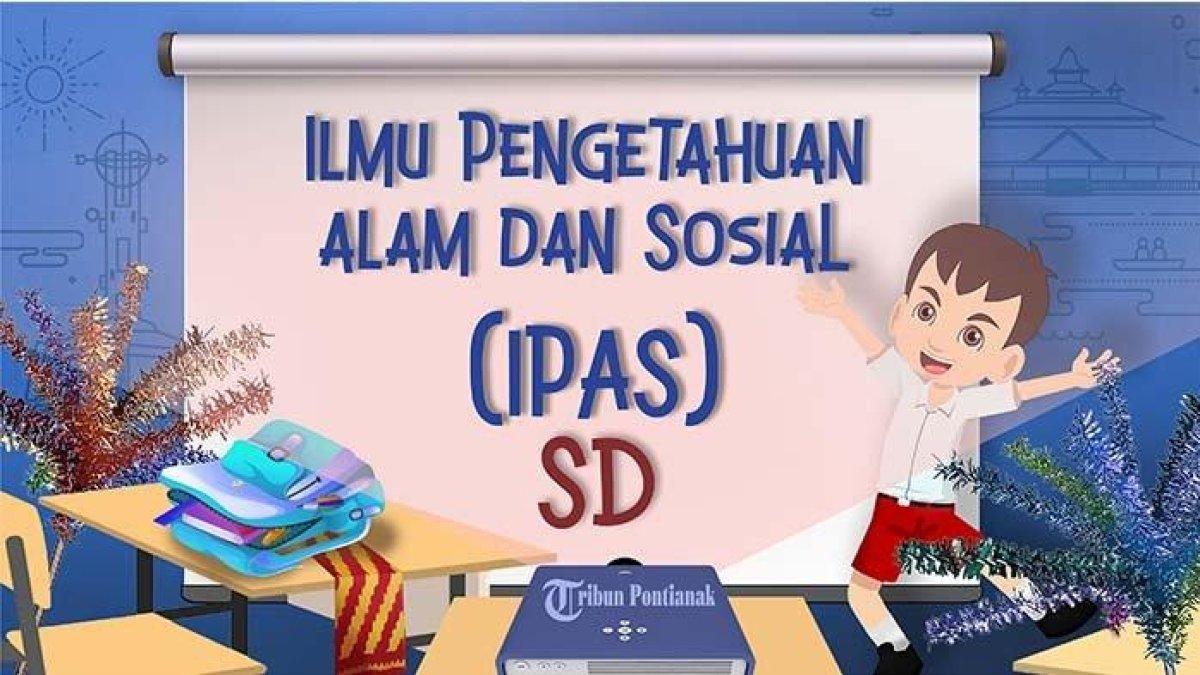 Kumpulan soal ulangan IPS kelas 2 SD