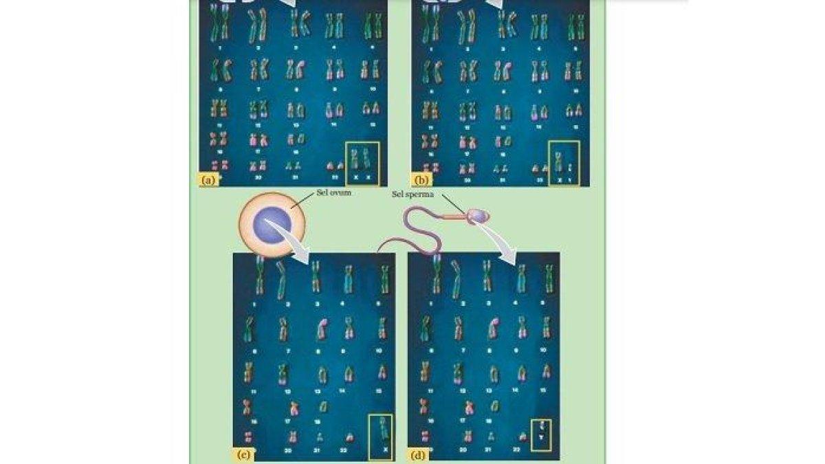 Kunci Jawaban IPA Kelas 9 SMP Halaman 131