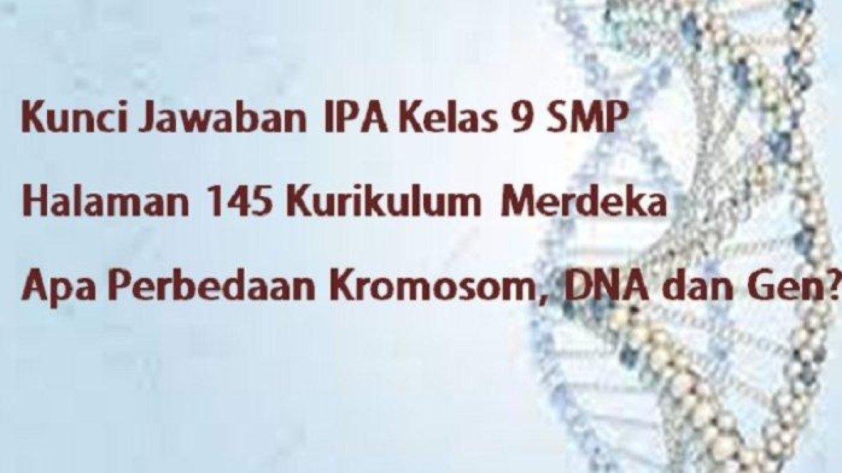 Apa Perbedaan Kromosom, DNA dan Gen? Kunci Jawaban IPA Kelas 9 SMP Halaman 145 Kurikulum Merdeka