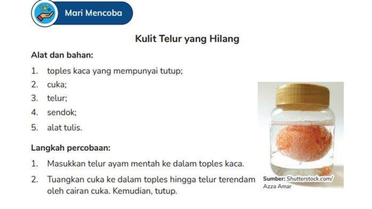 Kunci Jawaban IPAS Kelas 6 SD - Soal Halaman 17 - 18