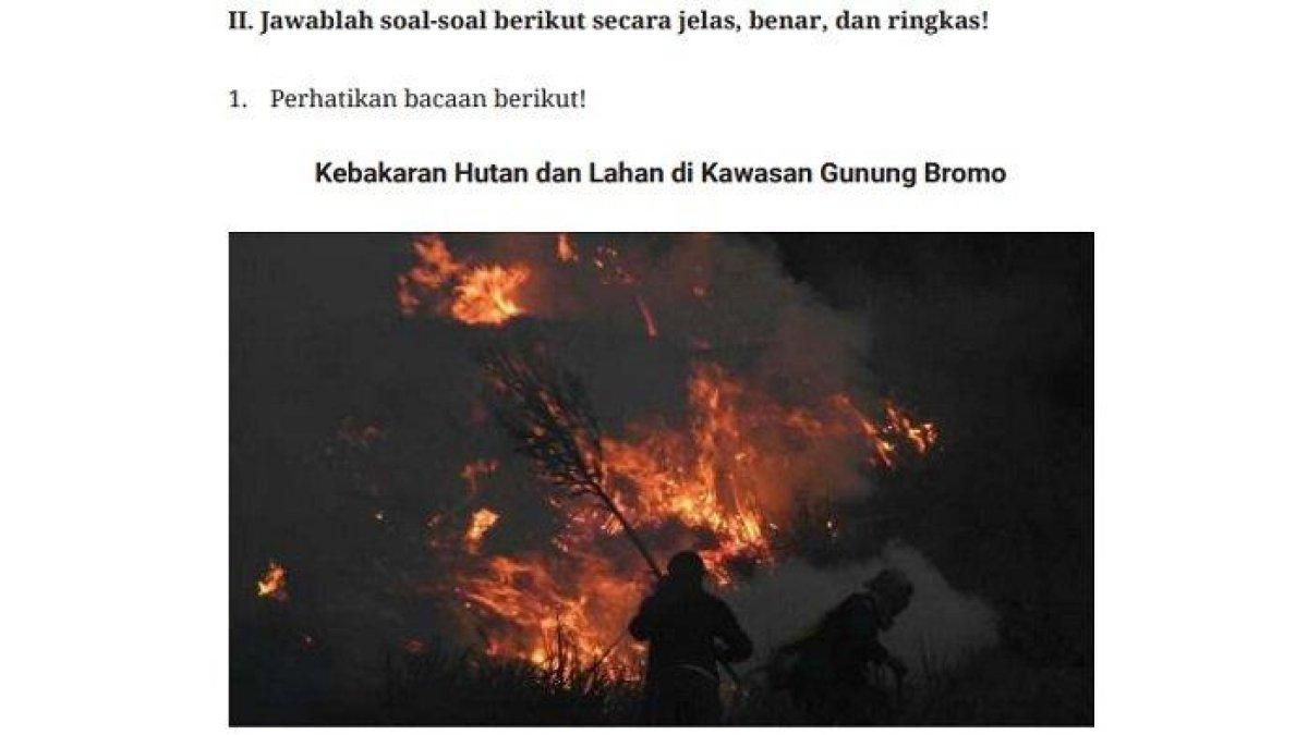Kunci Jawaban IPS Kelas 7 Halaman 154-160 Kurikulum Merdeka, Uji Kompetensi Uraian. Berdasarkan artikel di atas, jelaskan faktor yang menyebabkan beruang madu masuk ke permukiman penduduk!