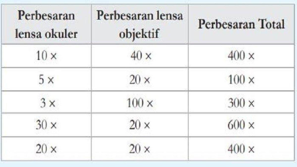 Pelajari soal Ilmu Pengetahuan Alam (IPA) pada halaman 25 kelas 8 dalam review Pengenalan Sel.