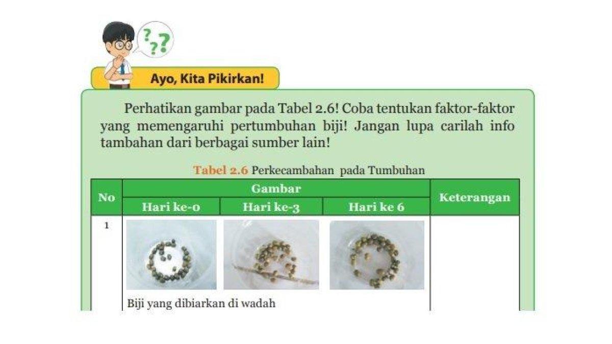 Kunci jawaban IPA Kelas 9 halaman 76. Terdapat soal seputar Perkecambahan pada Tumbuhan pada Tabel 2.6 tugas Ayo, Kita Pikirkan!