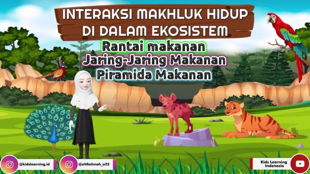 Interaksi antar komponen ekosistem kelas 10 Biologi | Soal Uji ... Interaksi antar komponen ekosistem kelas 10 Biologi | Soal Uji ...
