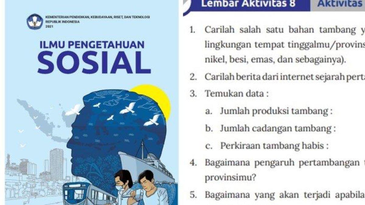 Kunci jawaban IPS Kelas 8 halaman 28 Kurikulum Merdeka, Lembar Aktivitas 8 terkait bahan tambang.