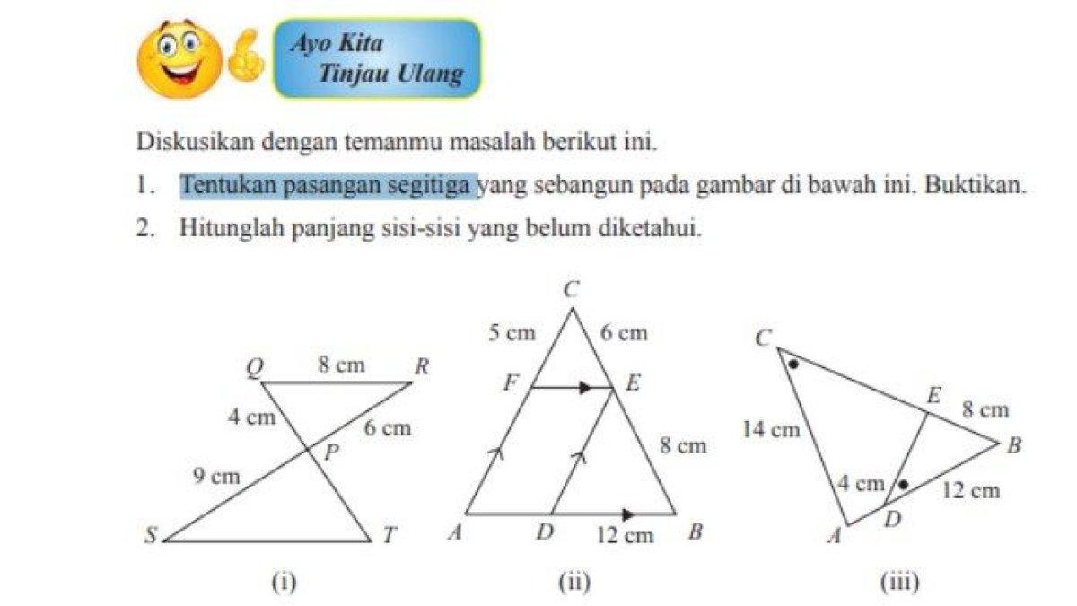 Kunci jawaban Matematika kelas 9 halaman 254: Tentukan pasangan segitiga yang sebangun