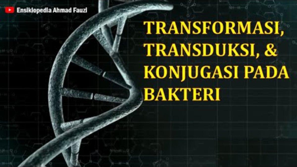 Kunci jawaban soal 'Jelaskan perbedaan dasar antara transduksi umum dan transduksi khusus dalam hal transfer gen bakter pada DNA bakteri lainnya.