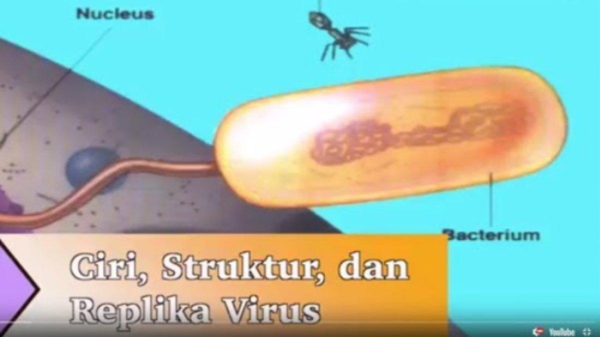 Kunci jawaban soal pengertian virus bersifat aseluler