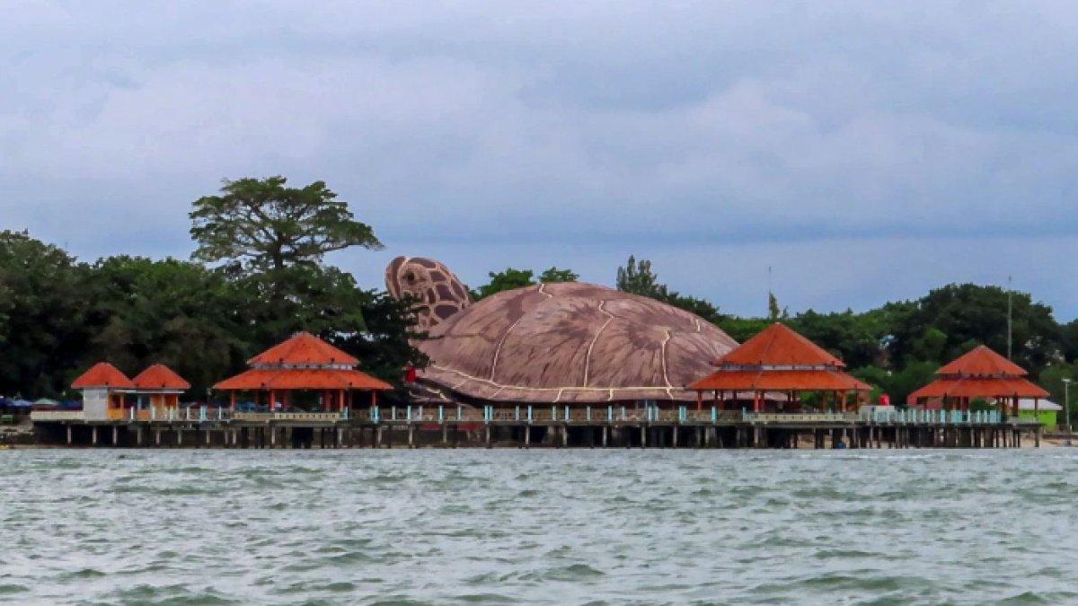 WISATA SERU - Potret Kura-kura Ocean Park disadur dari Kompas.com pada Minggu (20/4/2025). Kura-kura Ocean Park berada di kawasan Pantai Kartini, Jepara.
