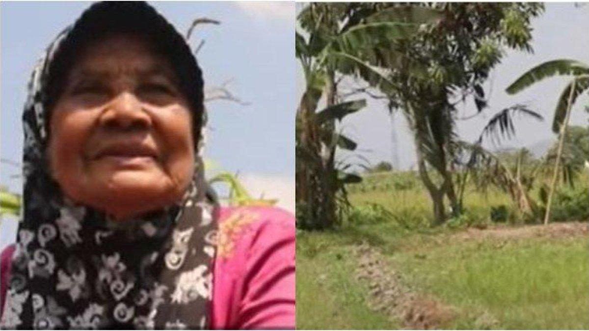 Lansia di Lombok dilaporkan anaknya ke polisi gegara perkara tanah.