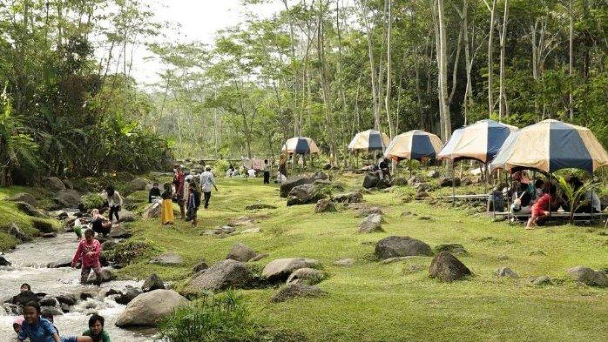 WISATA ALAM - Potret desa wisata Ledok Sambi disadur dari TribunTravel.com pada Kamis (6/3/2025). Ledok Sambi cukup dekat dengan Warung Kopi Klotok yakni sekitar 4 km saja atau sekira 12 menit.