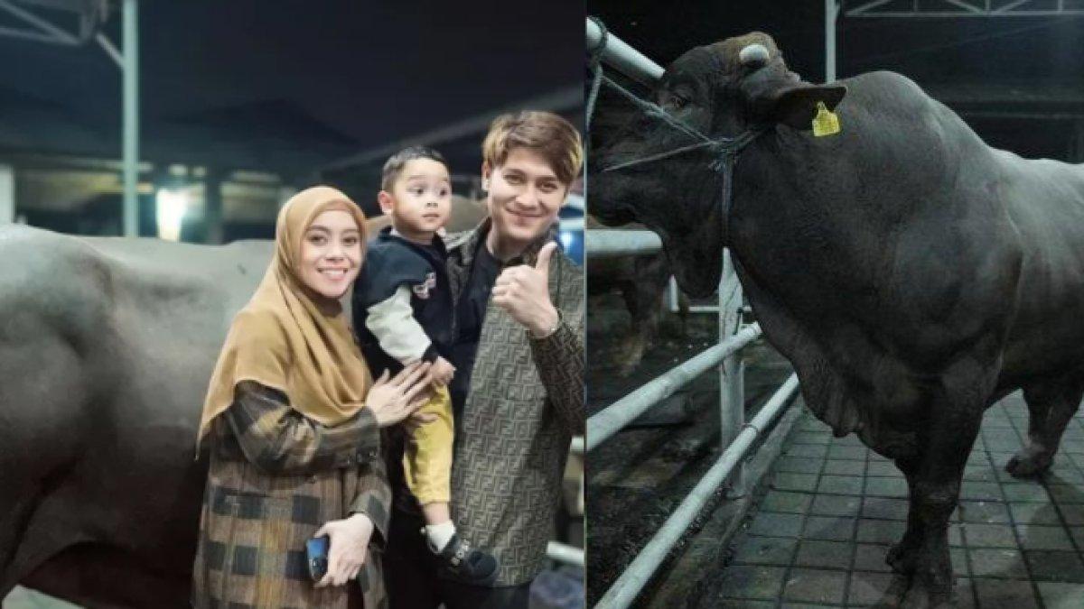 Lesti Kejora dan Rizky Billar berkurban sapi jumbo pada Idul Adha 2024